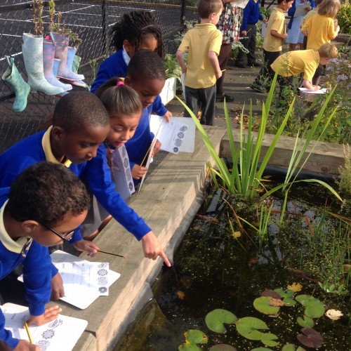 We explored the garden! 