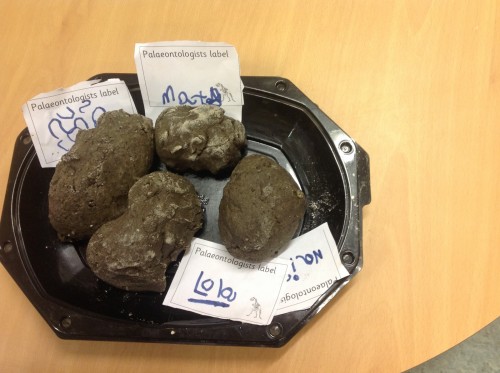 Mud Dinosaur Eggs