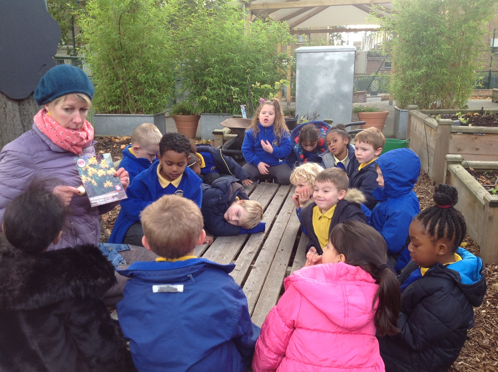 Planting Daffodils! St Mark's C of E Primary School