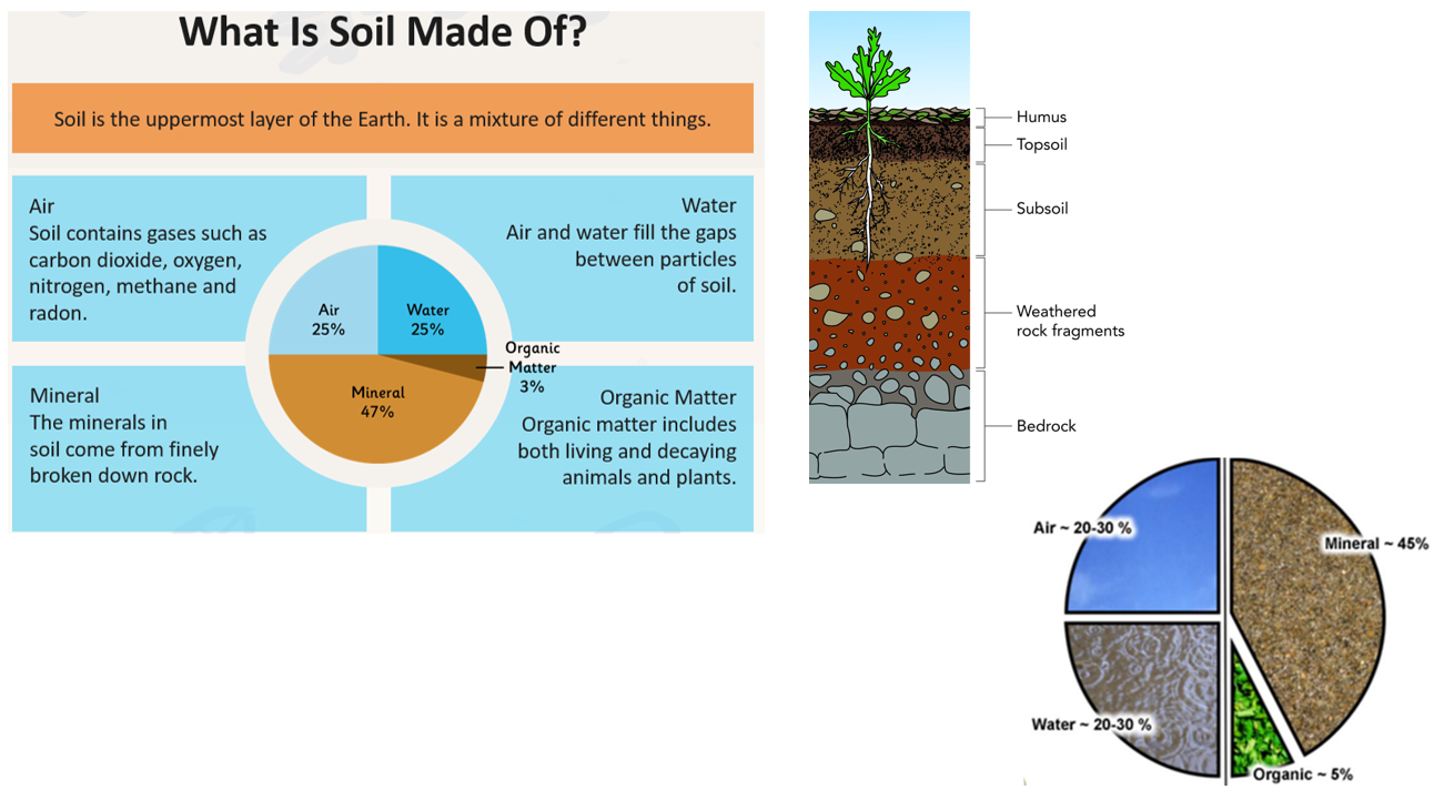 Rocks, Soils and Fossils St Mark's C of E Primary School